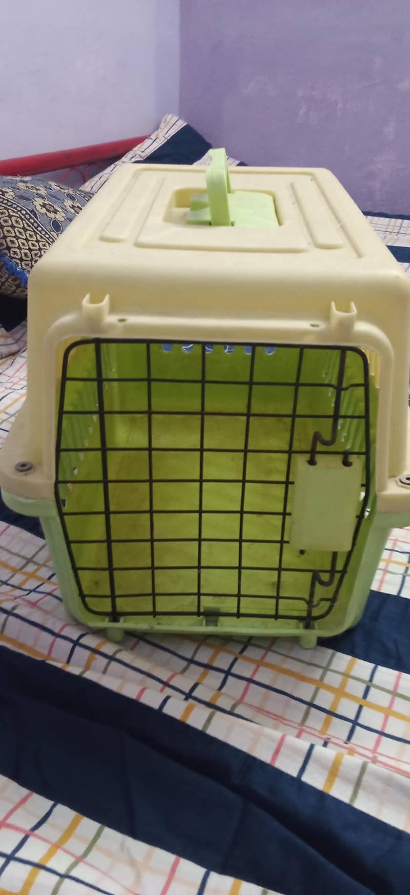 cat box 2