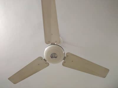 pak. fan
