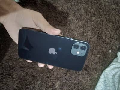 Apple iPhone 12