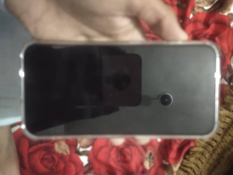 Apple iPhone 13 0