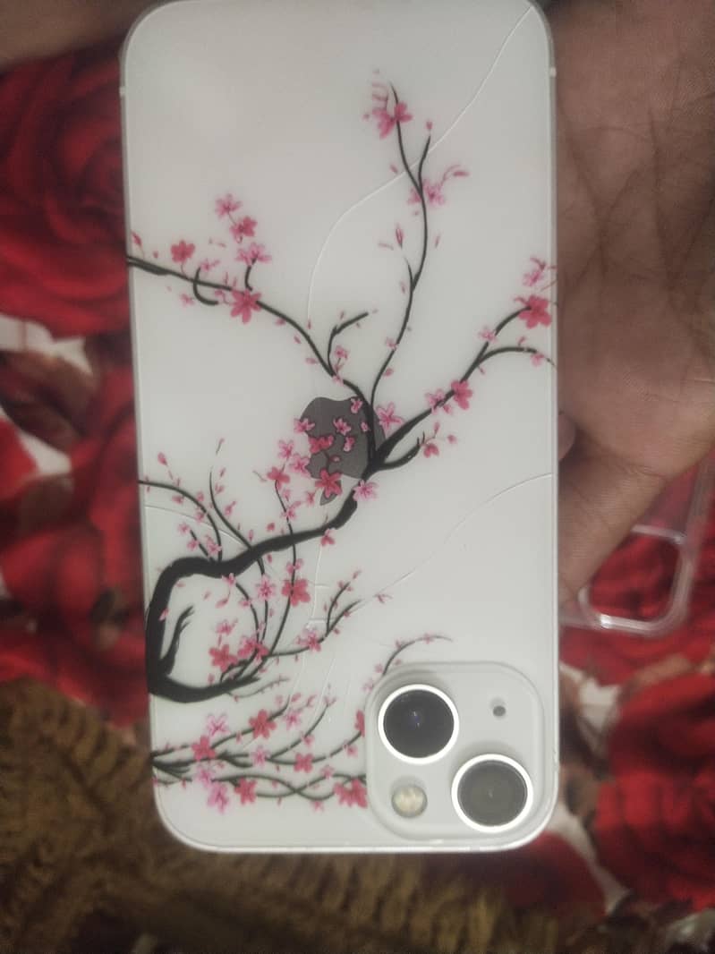 Apple iPhone 13 1