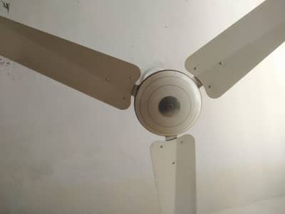 pak fan