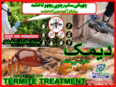 Rats Control , Bed Bugs Spray & Control , Fumigation & Pest Services