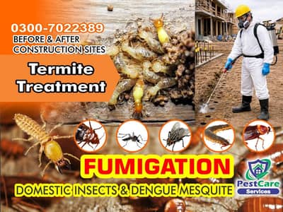 Fumigation Services , Bed Bugs Spray & Control ,  Rats Control