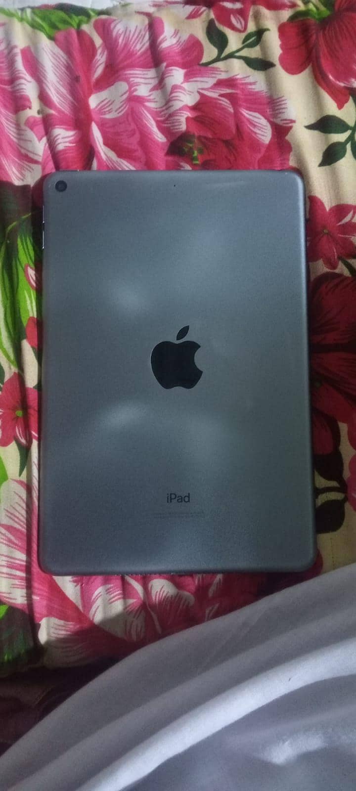 iPad mini 5 0