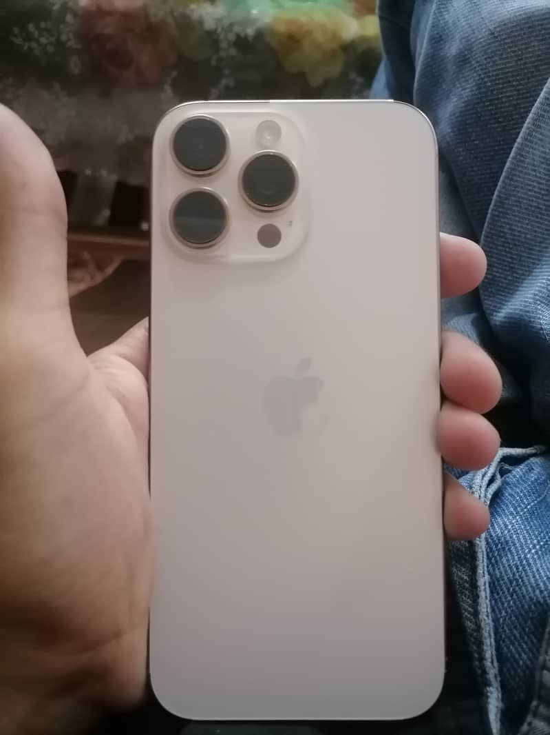 Apple iPhone 16 Pro Max 1