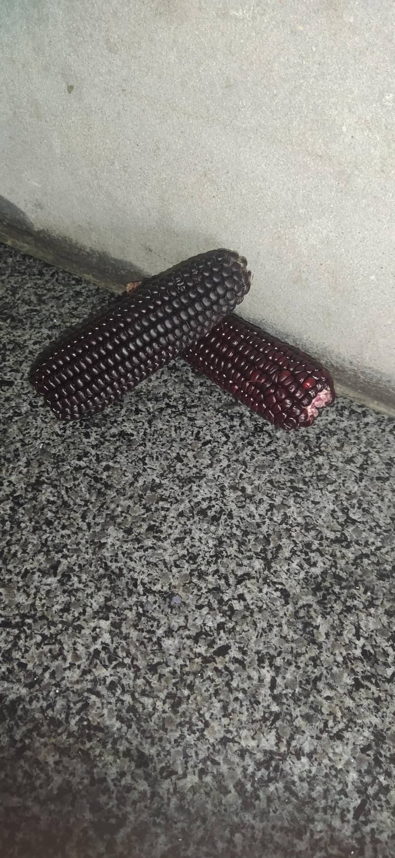 purple corn 0