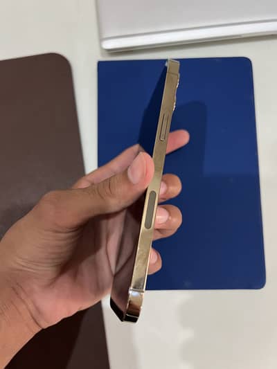 Apple iPhone 12 Pro Max