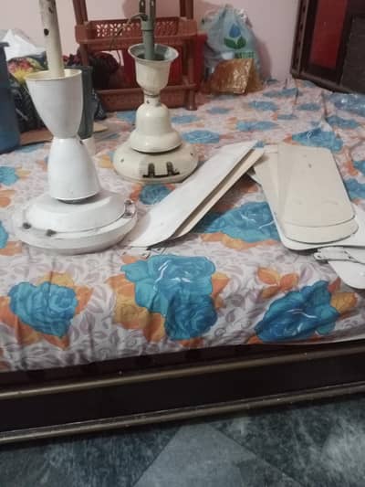 GFC ceiling Fan for sale