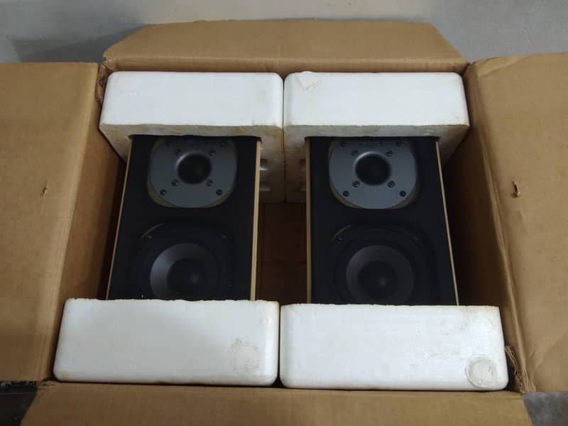 marques surrounded speaker 0