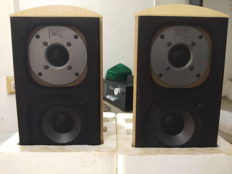 marques surrounded speaker 1