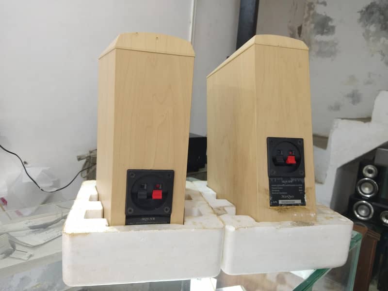 marques surrounded speaker 5