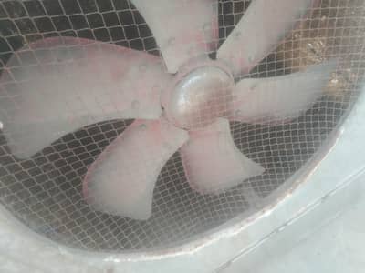 lahori cooler