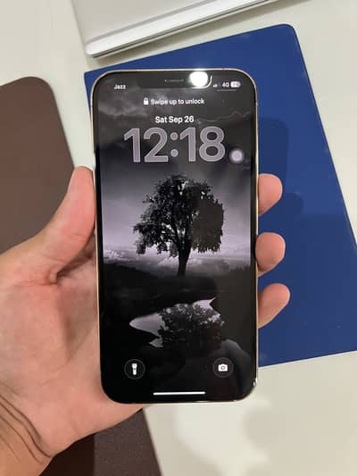 Apple iPhone 12 Pro Max