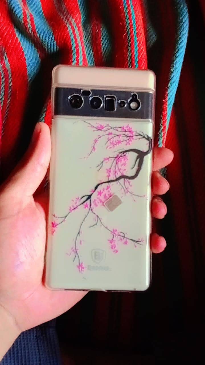 Google Pixel 6 Pro 1