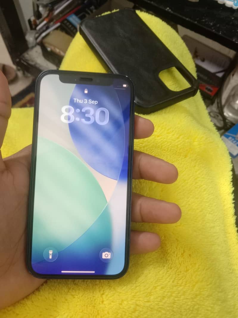 Apple iPhone 12 mini original panel 1