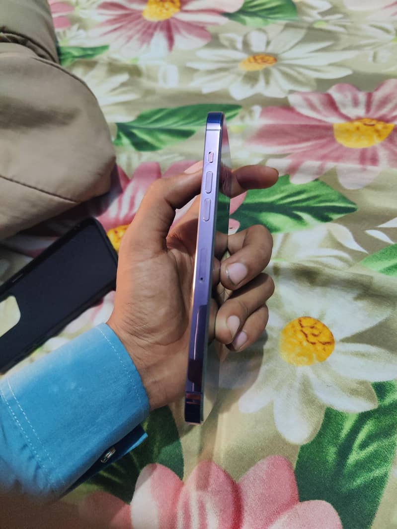 Apple iPhone 14 Pro Max 3