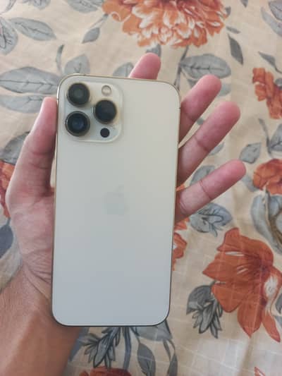 Apple iPhone 13 Pro Max