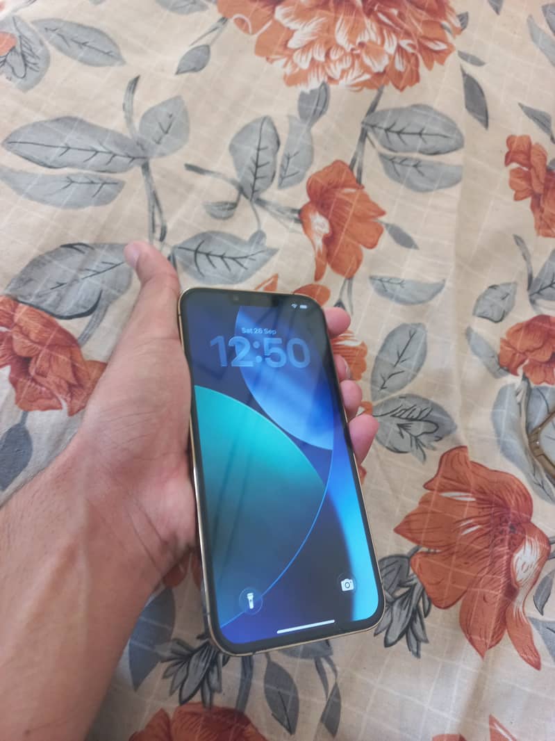 Apple iPhone 13 Pro Max 1