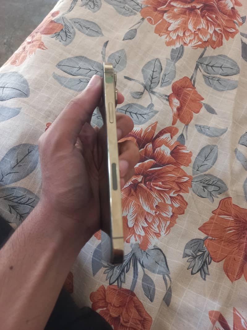 Apple iPhone 13 Pro Max 2
