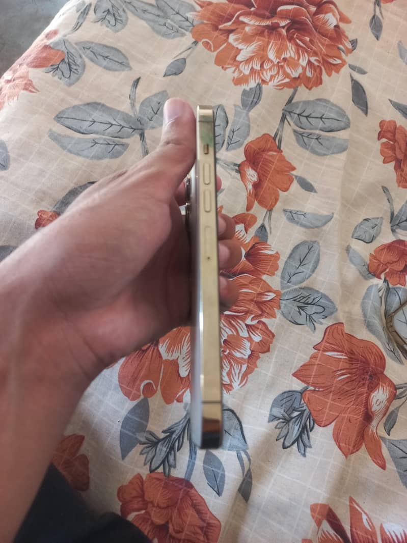 Apple iPhone 13 Pro Max 3
