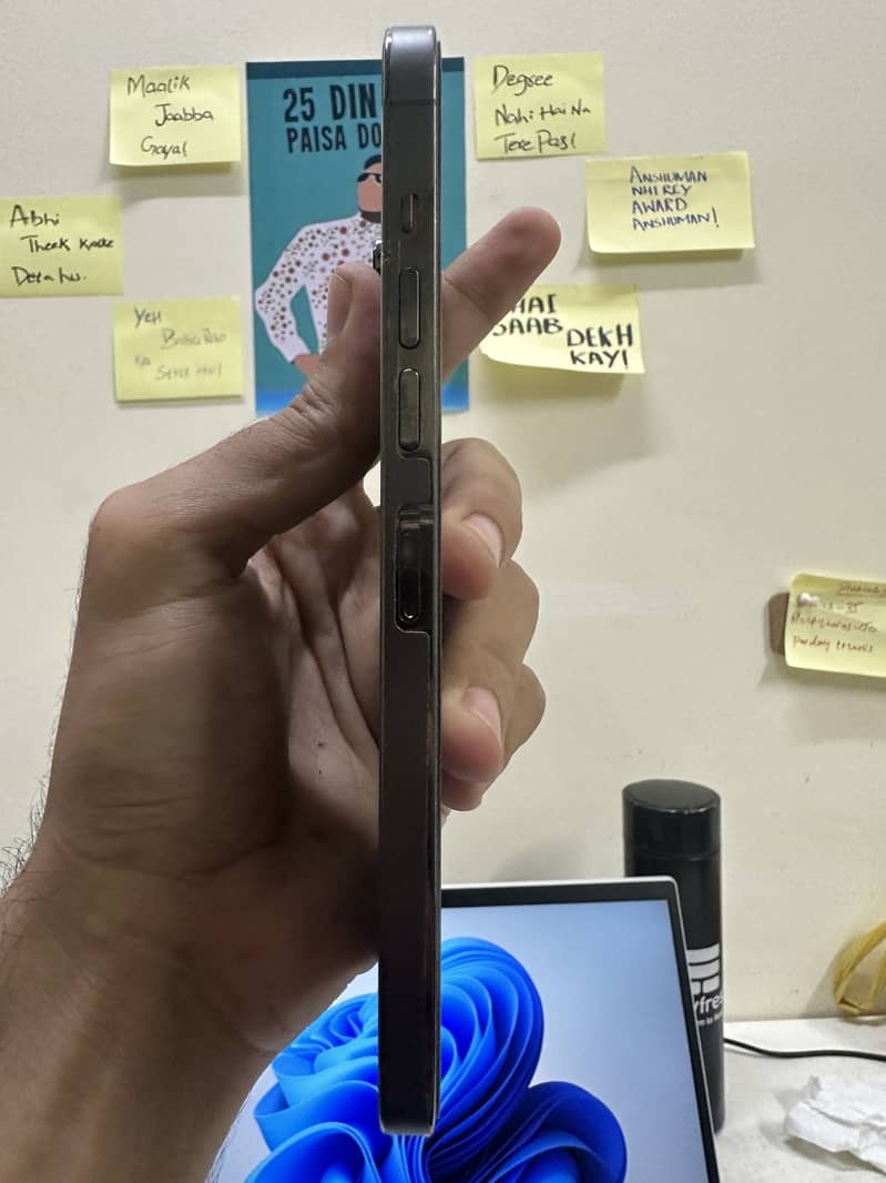 Apple iPhone 13 Pro Max 3