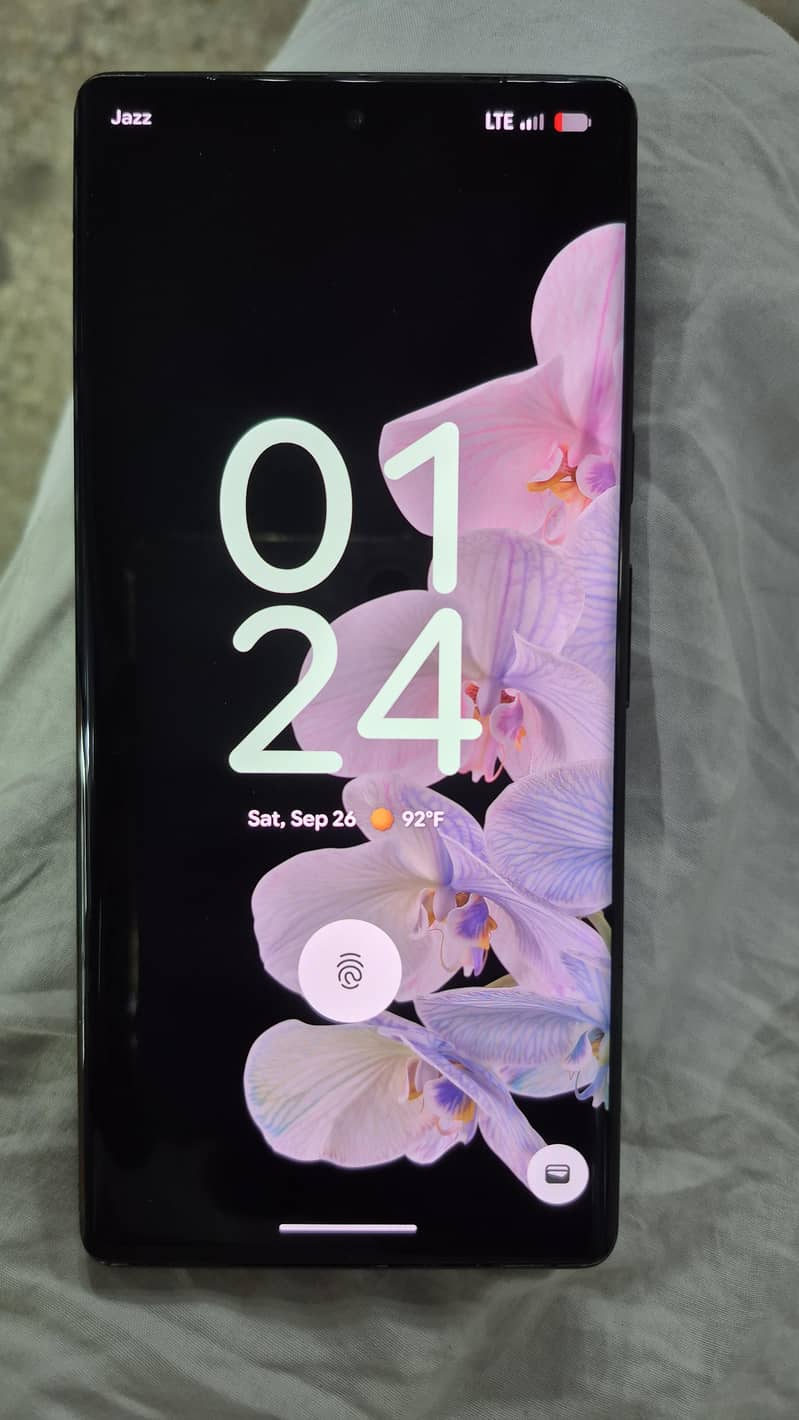 Google Pixel 6 Pro 1