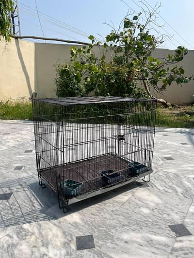 Bird cage