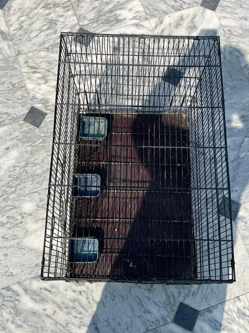 Bird cage — photo 2