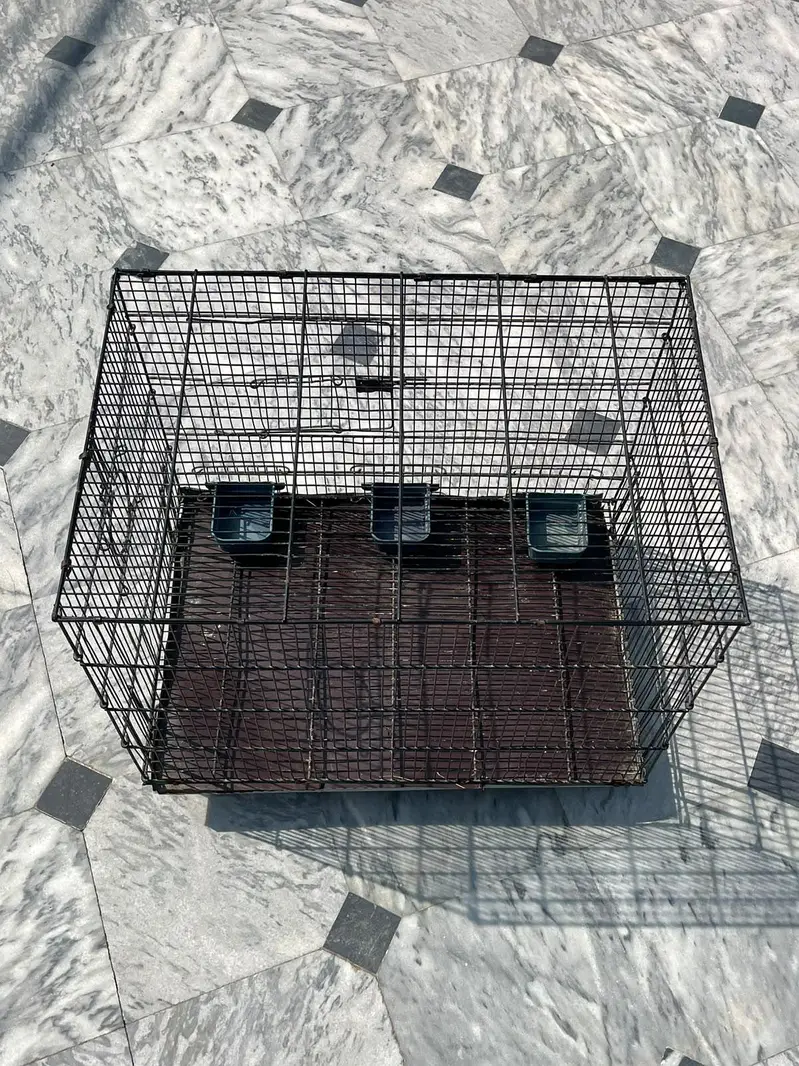 Bird cage — photo 3