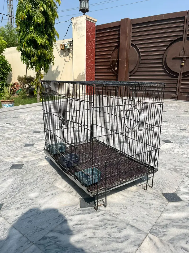 Bird cage — photo 4