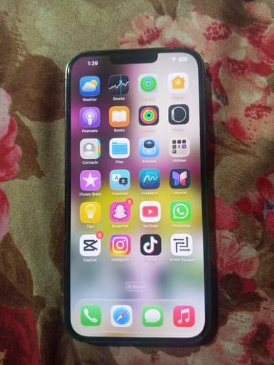 Apple iPhone 13 Pro Max