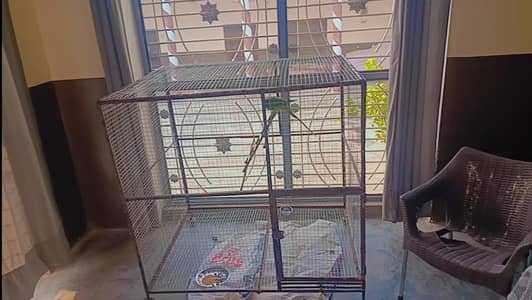 cage heavy gauge wire mash pinjra