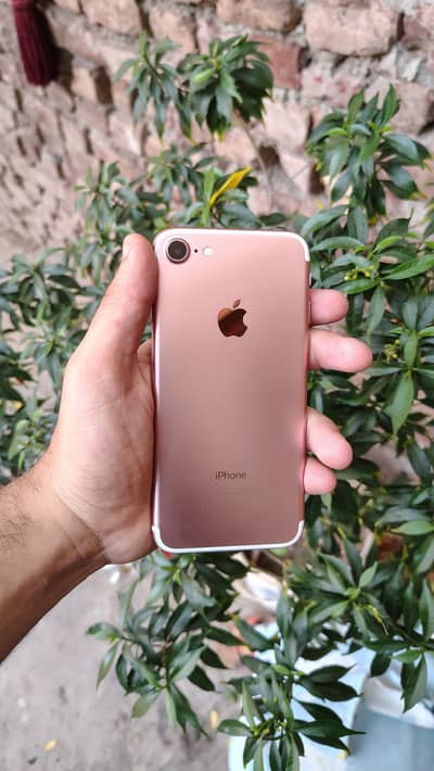 Apple iPhone 7