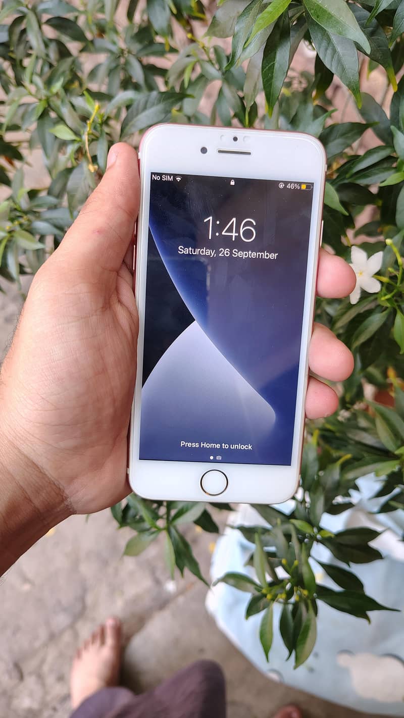 Apple iPhone 7 1