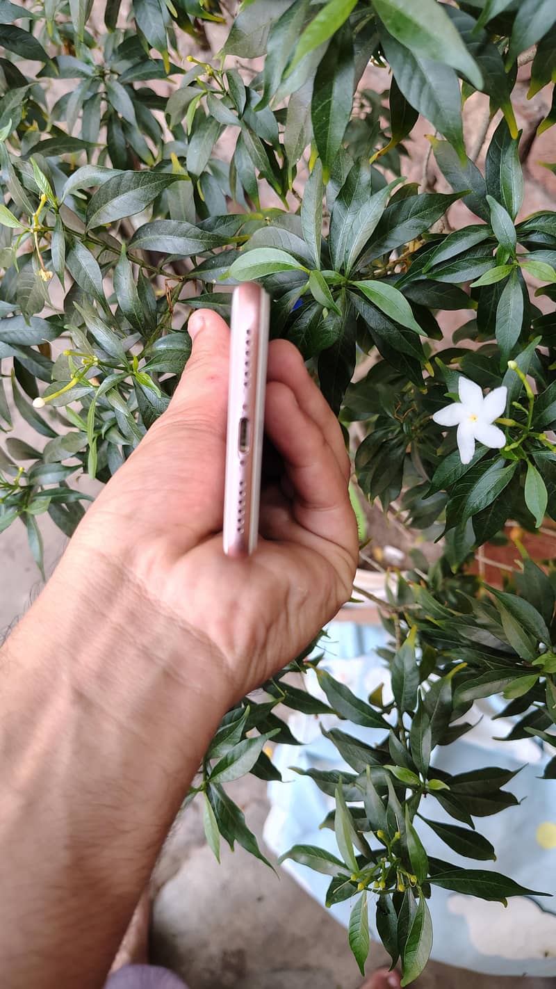 Apple iPhone 7 3