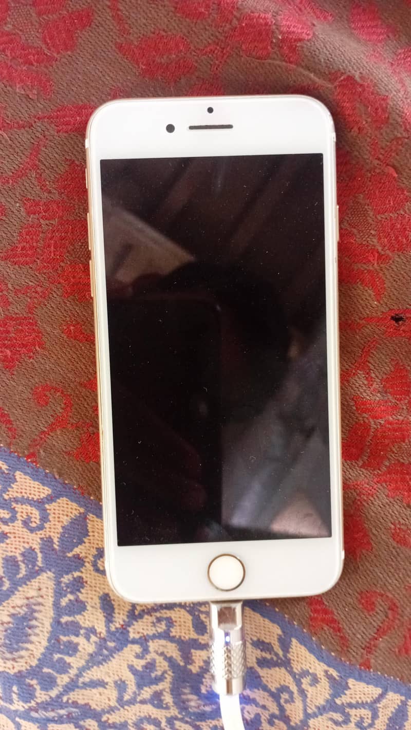 Apple iPhone 7 1