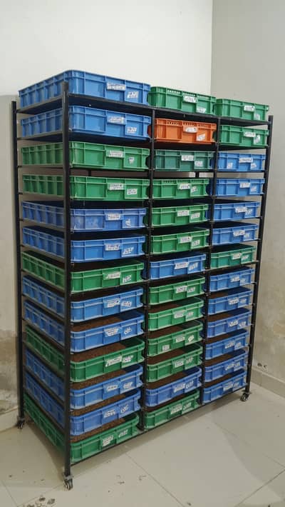 Meal Worm P6 tray stand