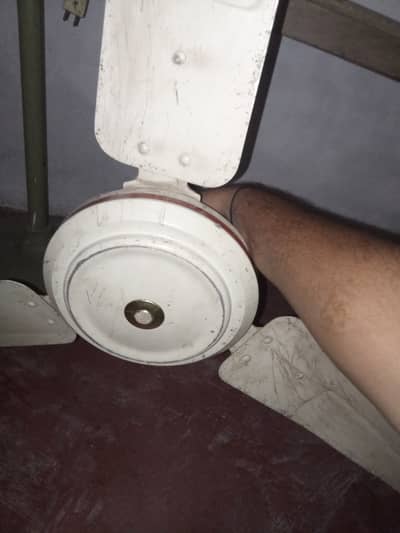 Celling fan