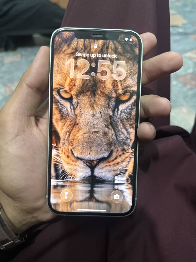iPhone 12 1