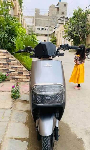 Selling Crown Firefly
