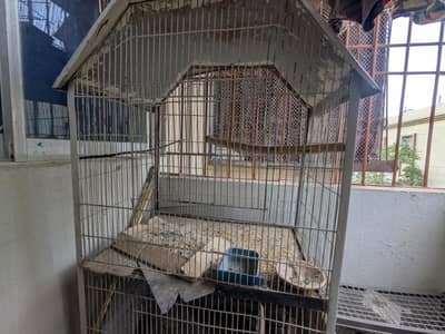 urgent sale