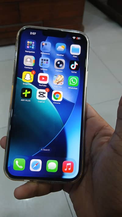 Apple iPhone 13 Pro Max