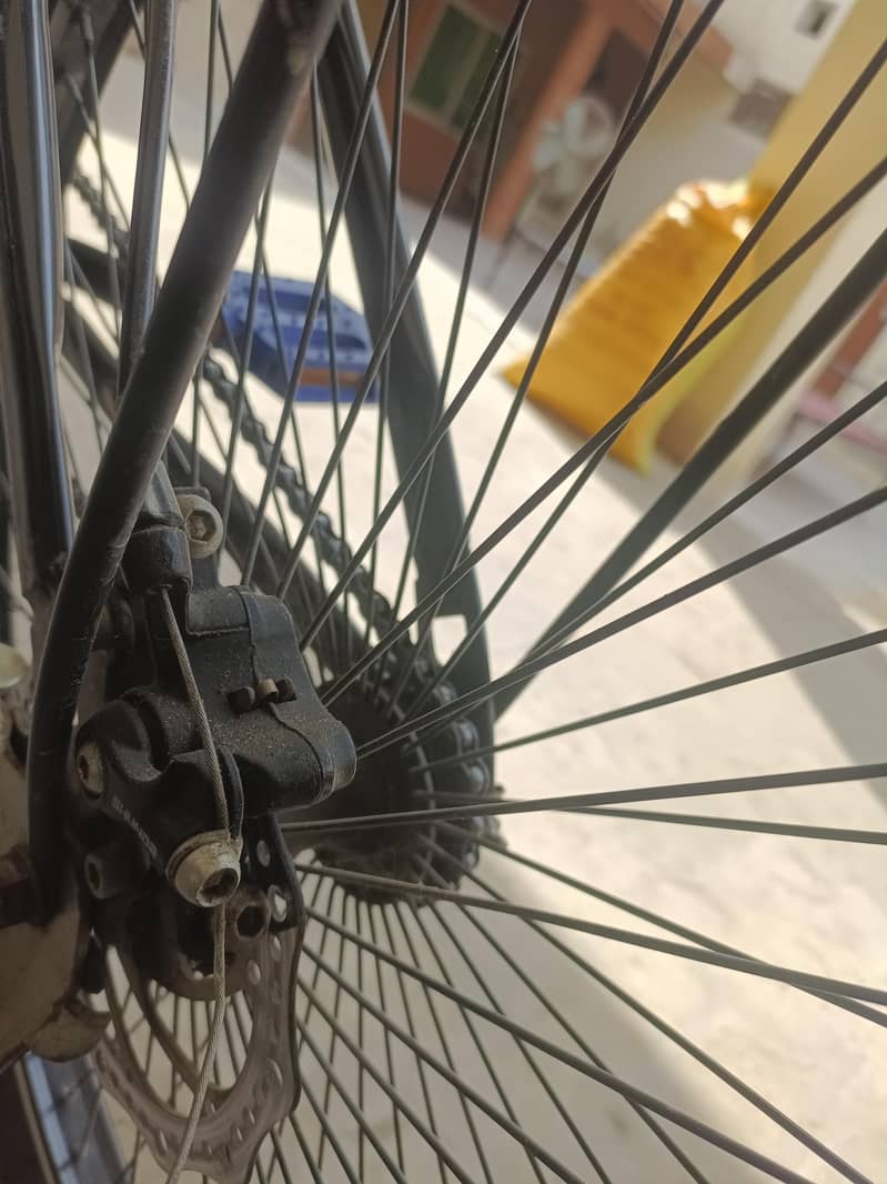 cycle 3