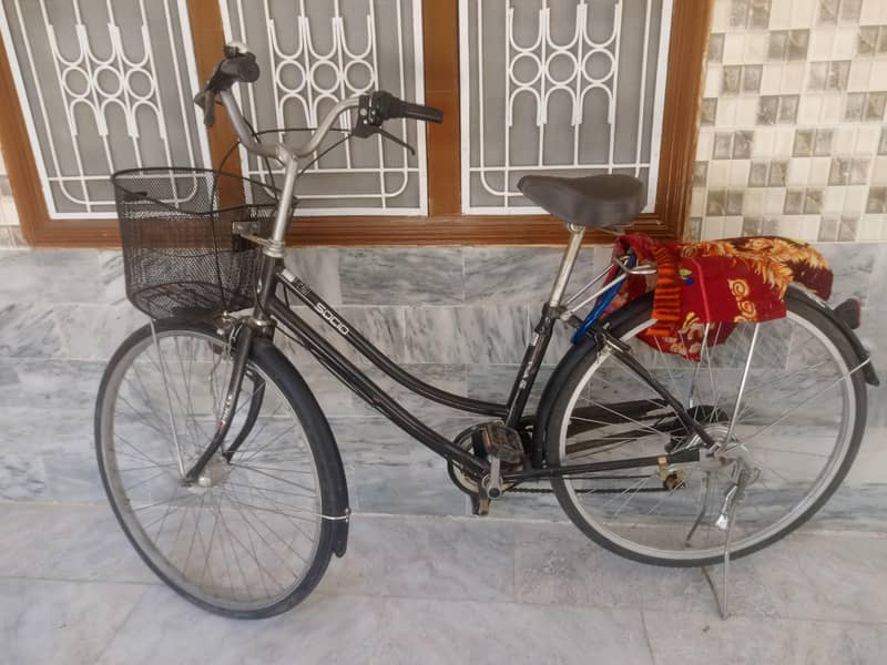 Bicycle 1