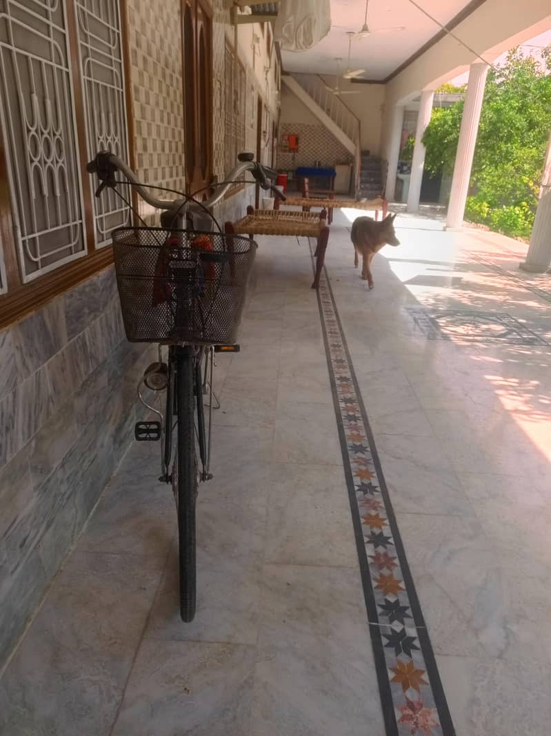 Bicycle 2