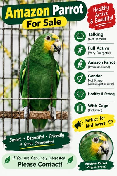 Amazone Parrot with Cage