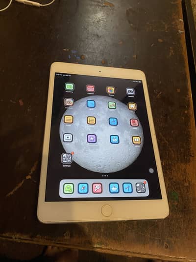 iPad Mini 2