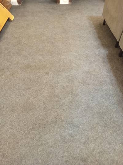 Carpet