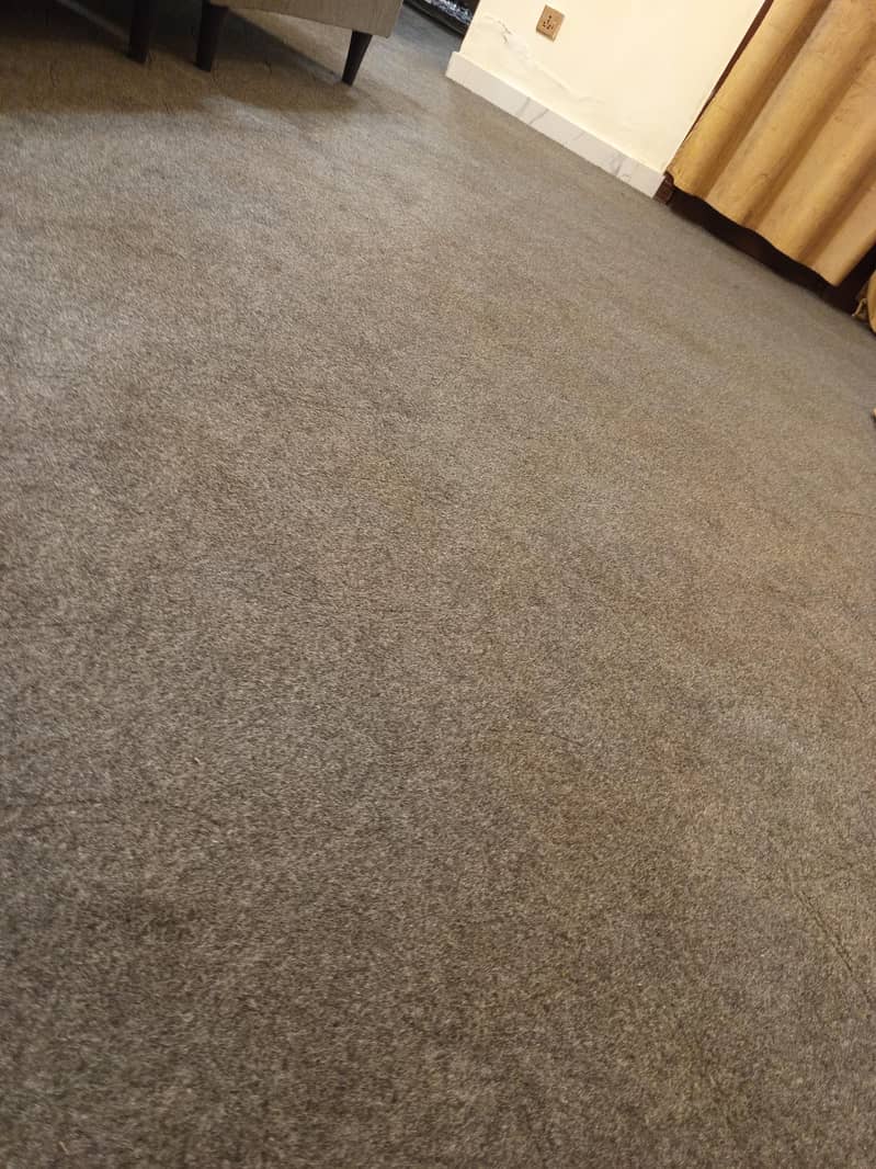 Carpet 1